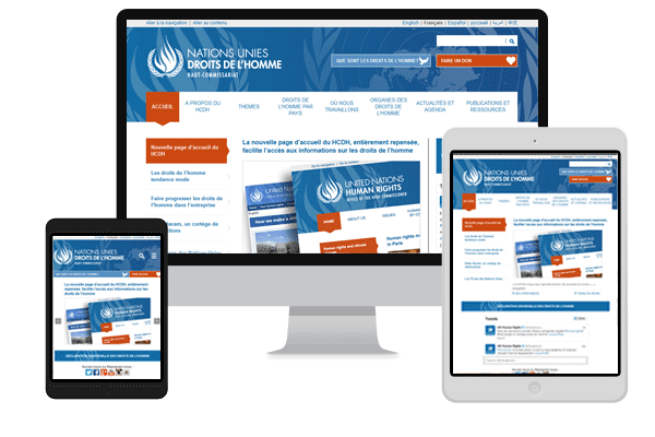 Website of the Office of the United Nations High Commissioner for Human Rights